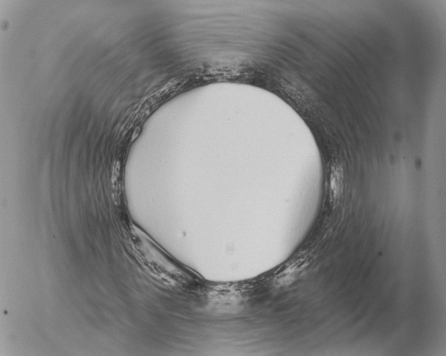 X0000053060867200508081151