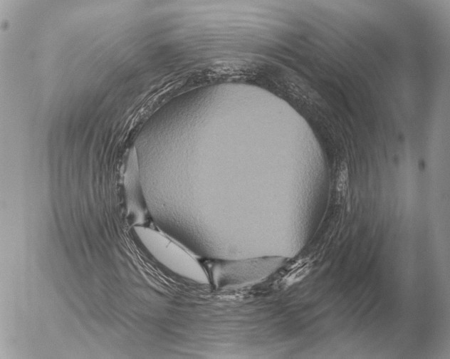 X0000053060868200508081151