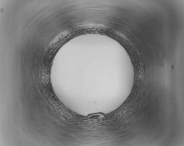 X0000053060869200508081151