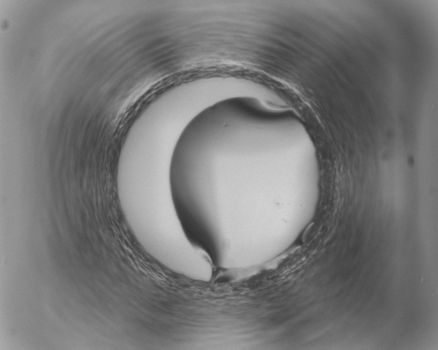 X0000053060871200508081151