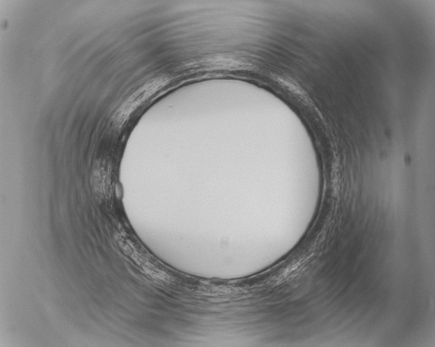 X0000053060873200508081151