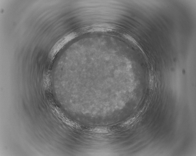 X0000053060874200508081151