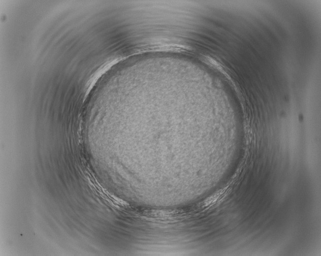 X0000053060875200508081151