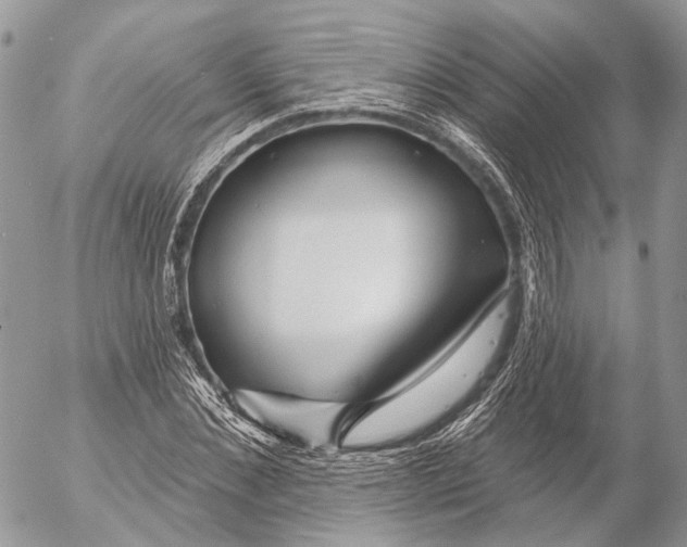 X0000053060876200508081151