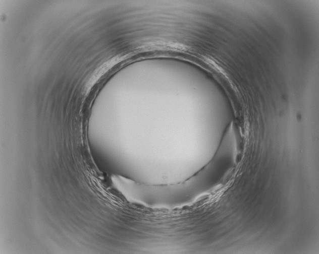 X0000053060877200508081151