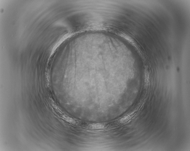 X0000053060878200508081151