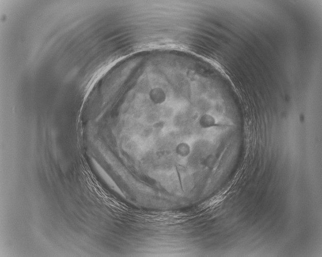 X0000053060879200508081151