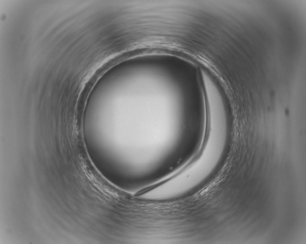 X0000053060880200508081151