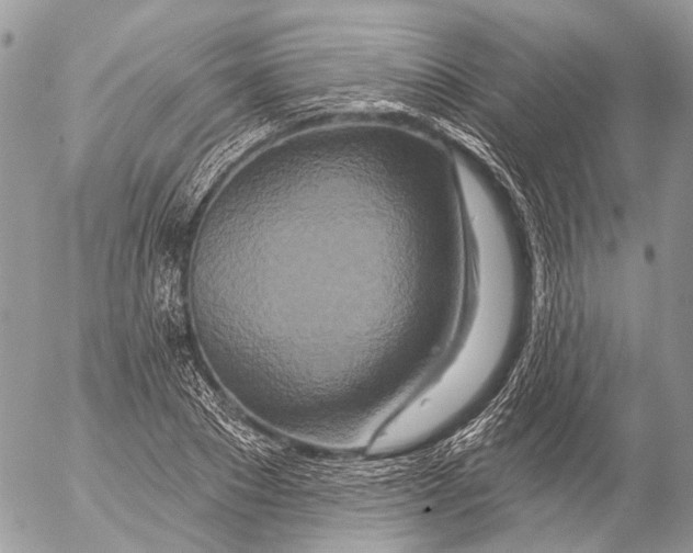 X0000053060881200508081151