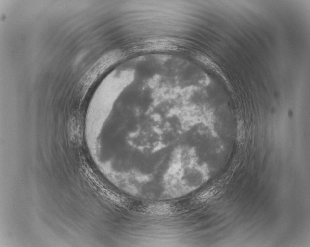 X0000053060882200508081151