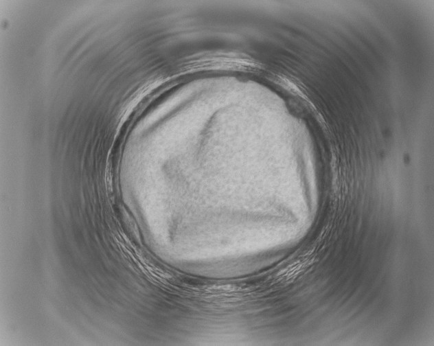 X0000053060883200508081151