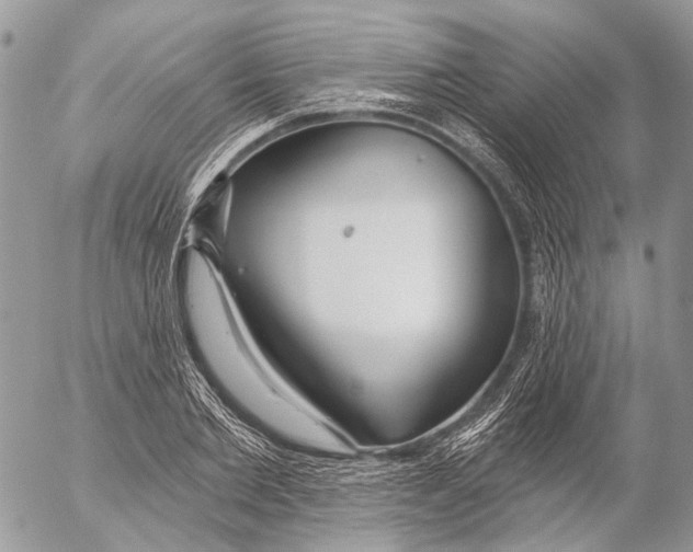 X0000053060885200508081151