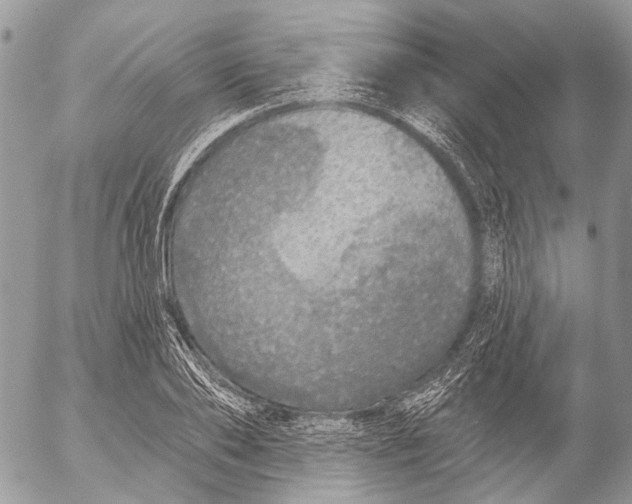 X0000053060886200508081151