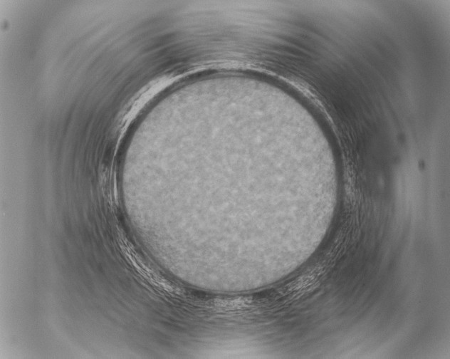 X0000053060887200508081151