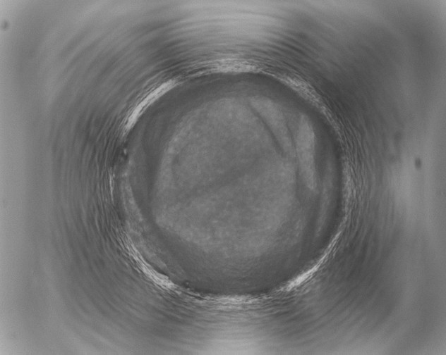 X0000053060889200508081151