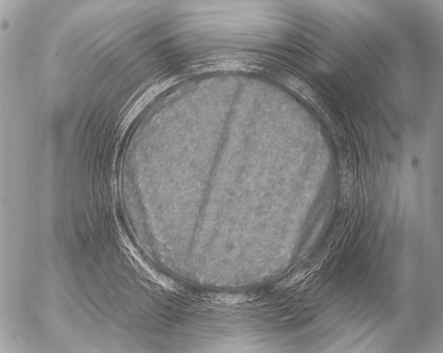 X0000053060890200508081151