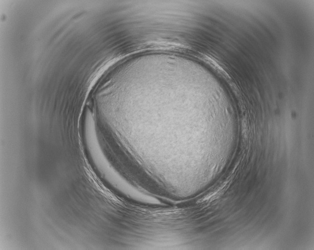 X0000053060891200508081151