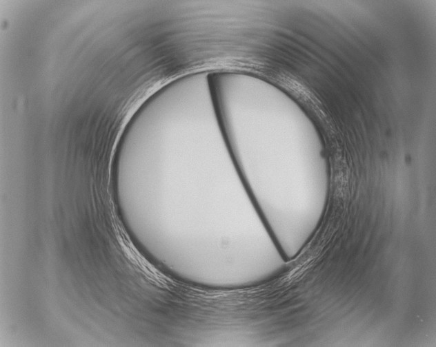 X0000053060892200508081151