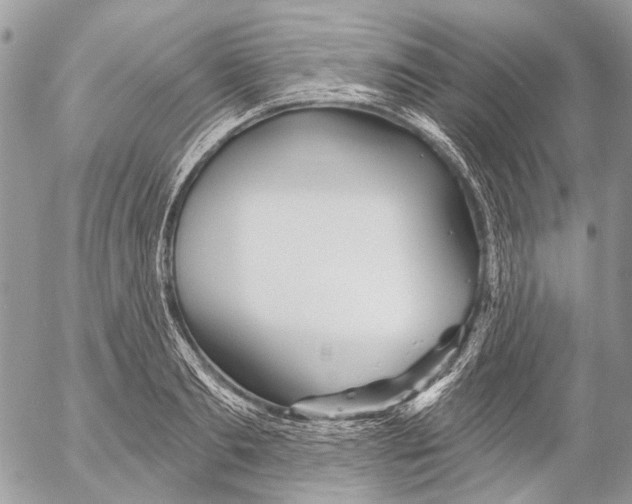 X0000053060893200508081151