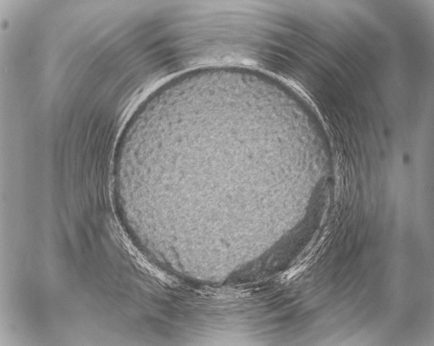 X0000053060895200508081151