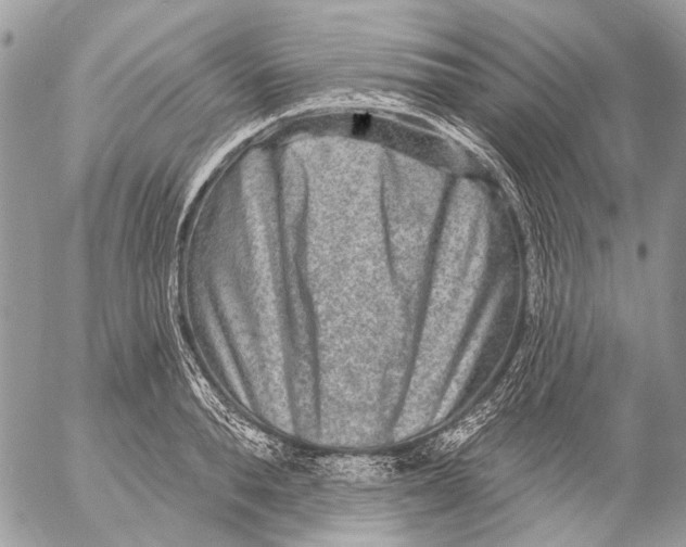 X0000053060896200508081151