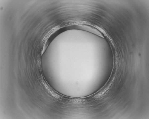 X0000053060897200508081151