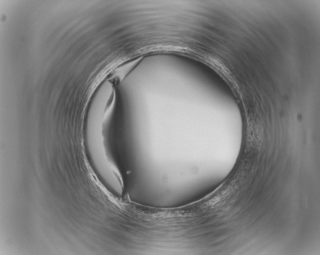 X0000053060898200508081151