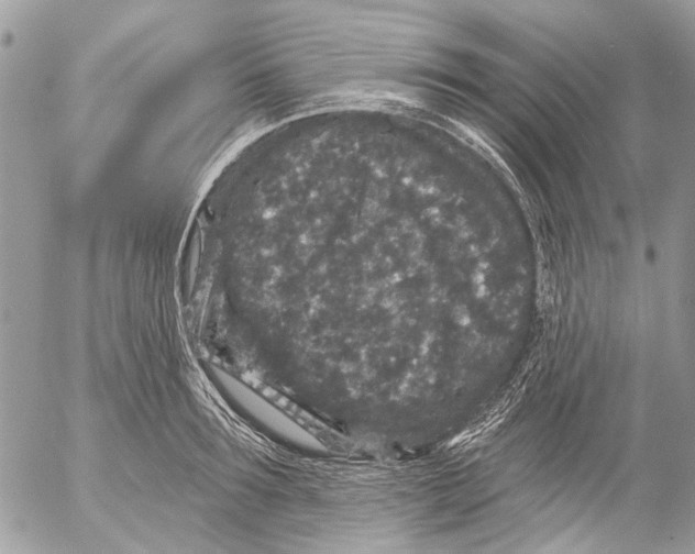 X0000053060899200508081151