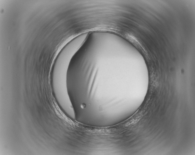 X0000053060900200508081151