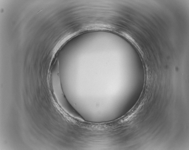 X0000053060901200508081151