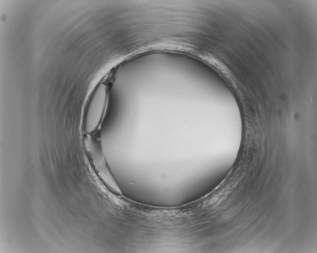 X0000053060902200508081151