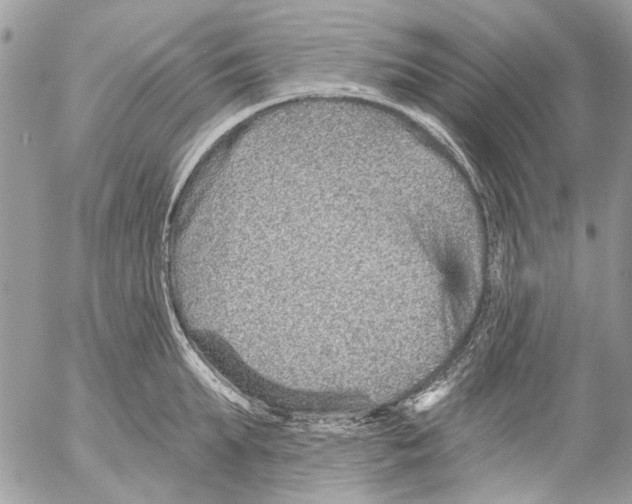 X0000053060903200508081151