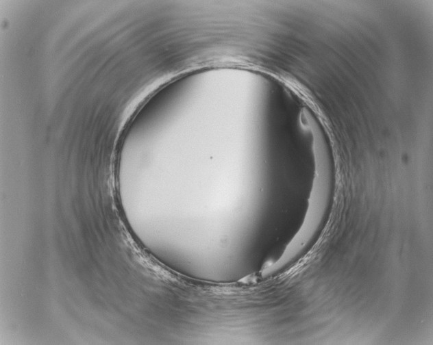 X0000053060904200508081151