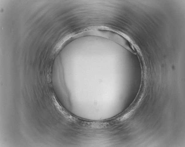 X0000053060905200508081151