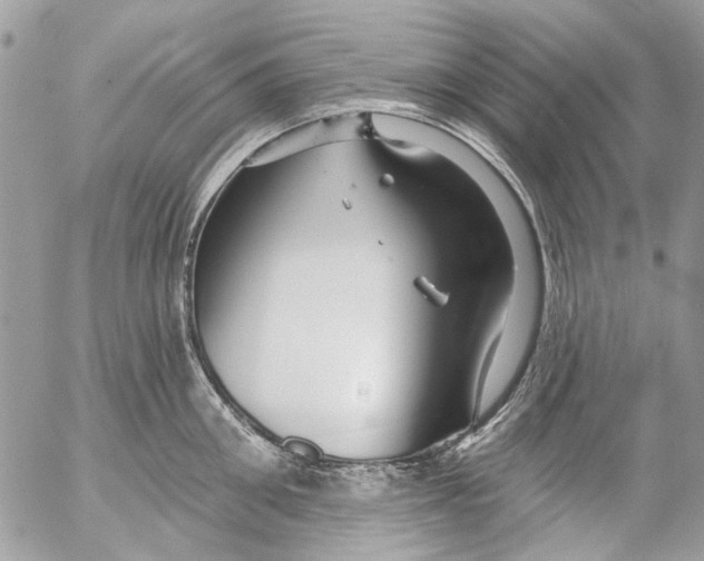 X0000053060906200508081151