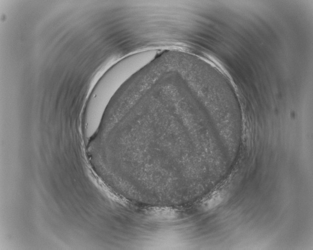 X0000053060907200508081151