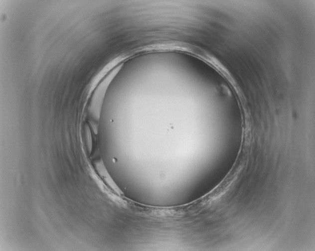 X0000053060909200508081151