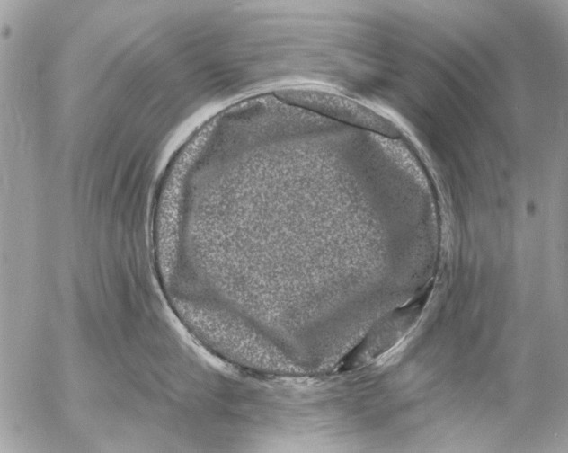 X0000053060910200508081151