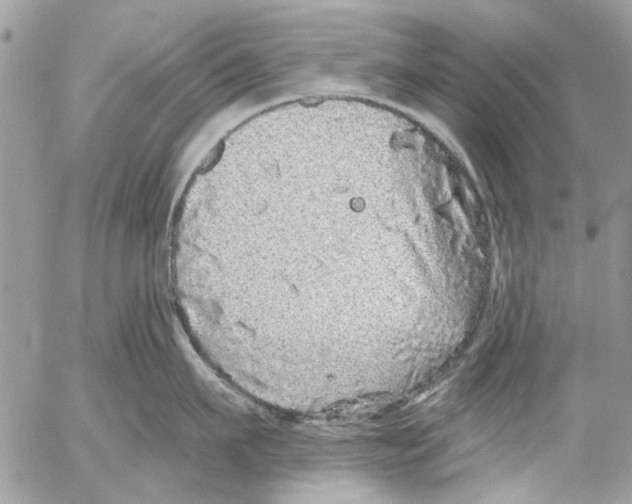 X0000053060911200508081151