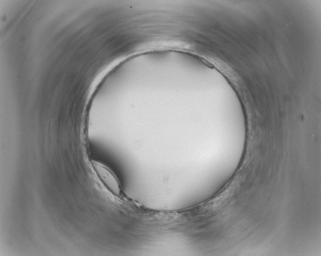 X0000053060912200508081151