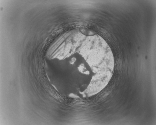 X0000053060913200508081150