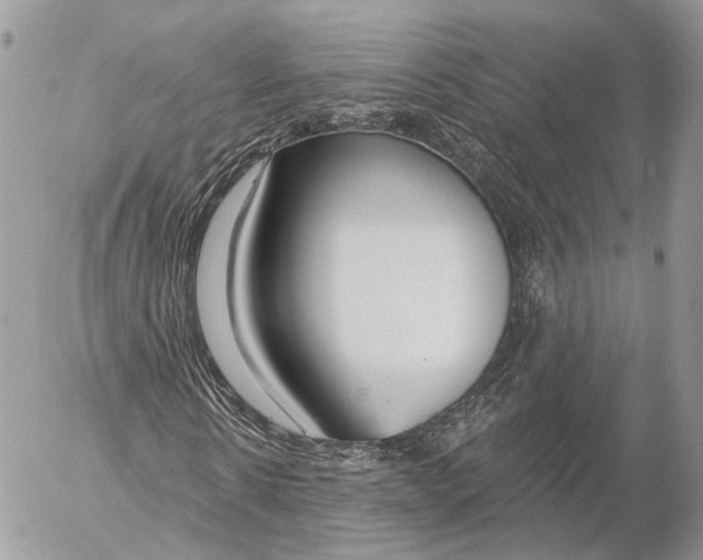 X0000053060914200508081150