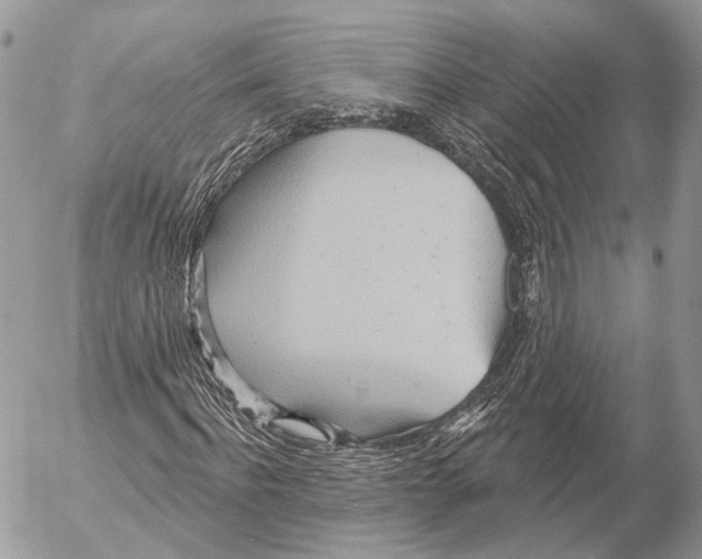 X0000053060916200508081150