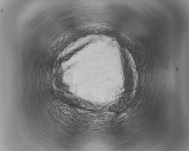 X0000053060917200508081150