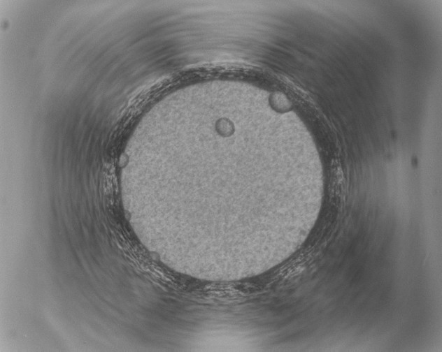 X0000053060918200508081150