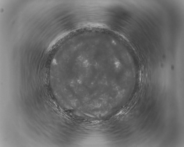 X0000053060919200508081150