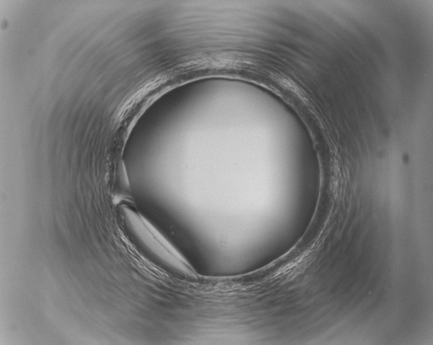 X0000053060922200508081150