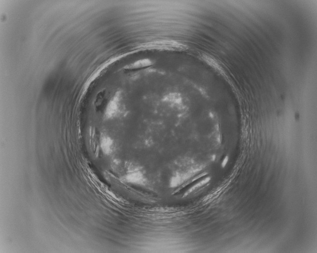 X0000053060923200508081150