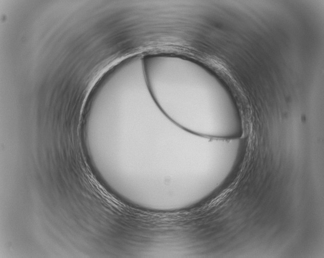 X0000053060924200508081150