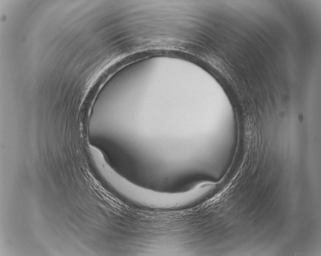 X0000053060926200508081150